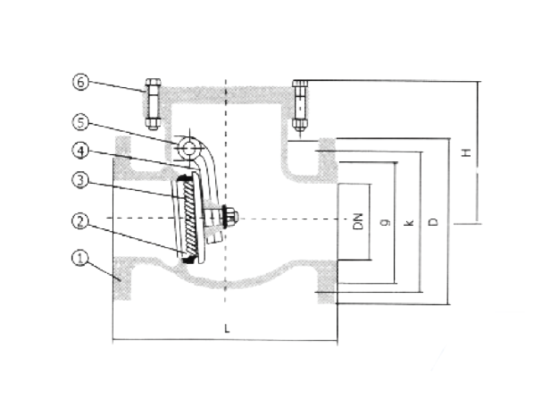 Swing Check Valve